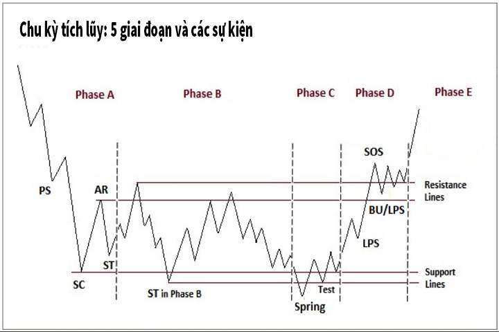 Mô hình Wyckoff là gì? Phương pháp giao dịch Wyckoff chi tiết
