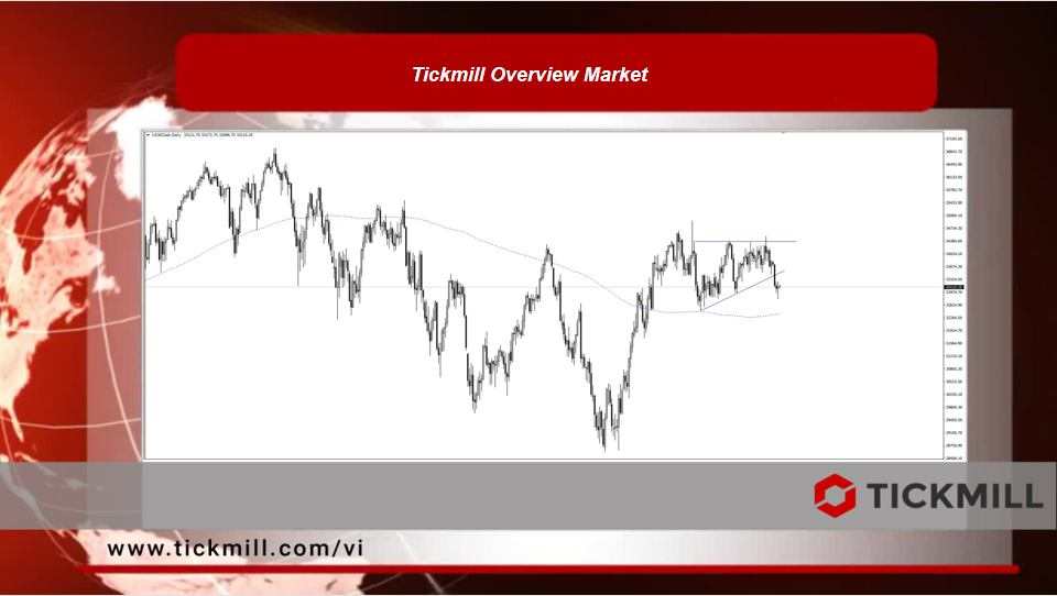 Tickmill Overview Market 
