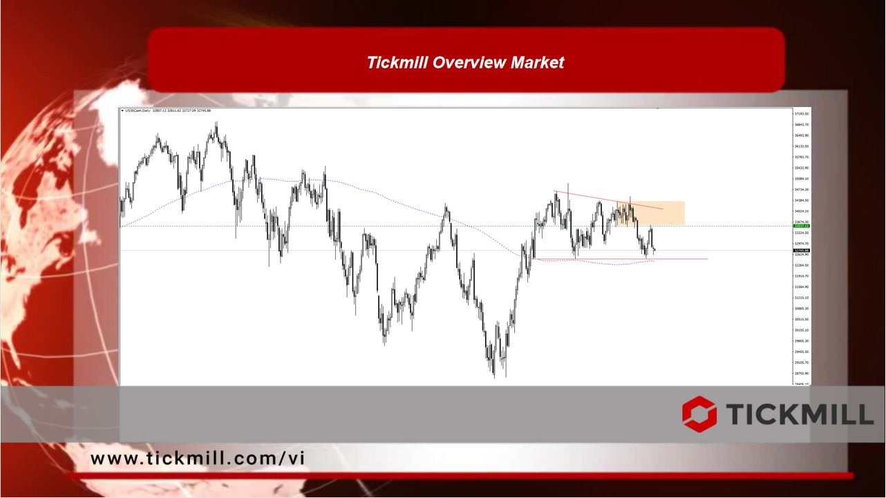 Tickmill Overview Market 
