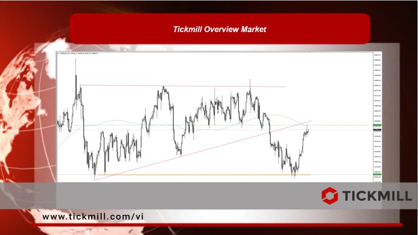 Tickmill Overview Market