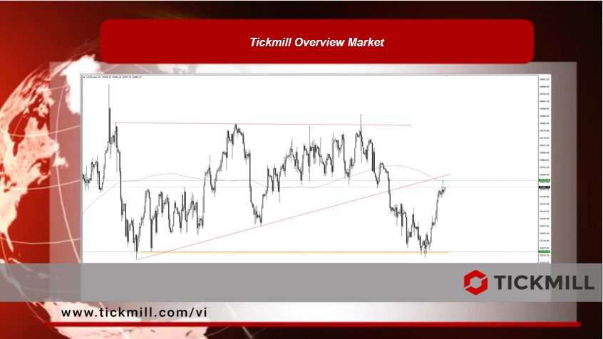 Tickmill Overview Market