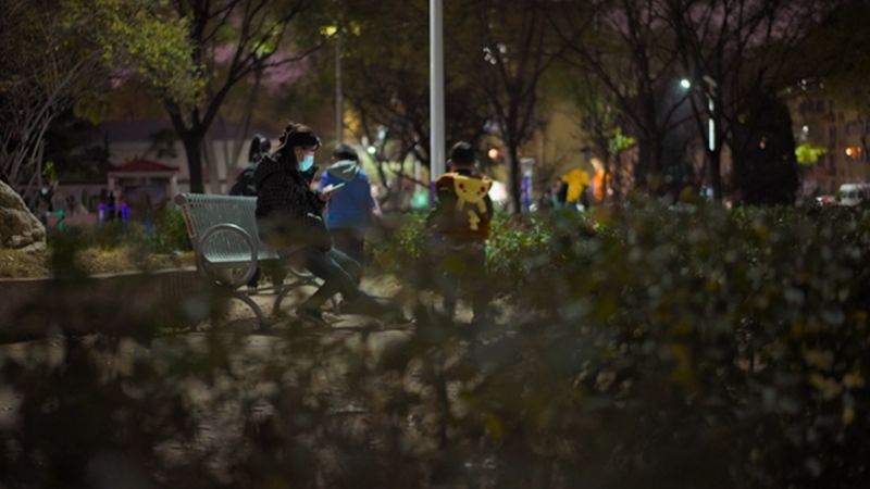 “杀猪盘”爱情陷阱揭秘：“我们如何诈骗数百万美金”