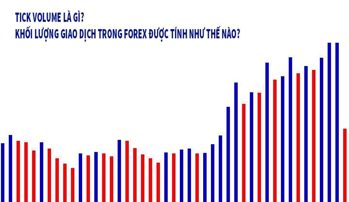 Tick Volume là gì? Cách sử dụng Tick Volume trong Forex hiệu quả