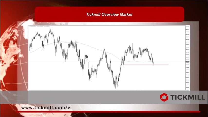 Tickmill Overview Market 