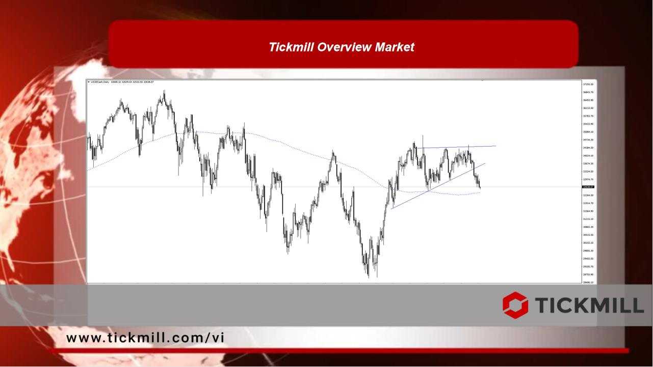 Tickmill Overview Market