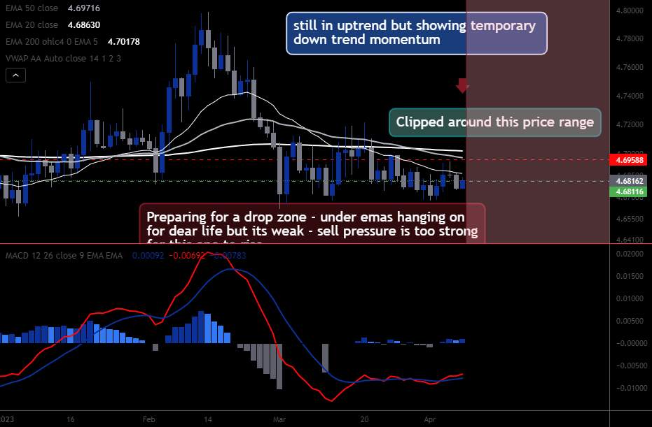 Black Screen Meeting | EURPLN | Preparing for a drop zone