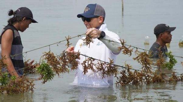PT KBI Dampingi Petani Rumput Laut untuk Tingkatkan Volume