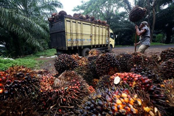 Petani Sawit Protes Rencana Bappebti Gandeng MDEX Garap Bursa CPO