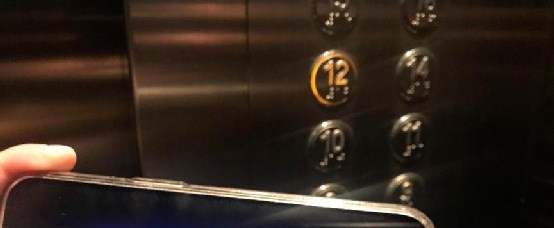 feed-image-2