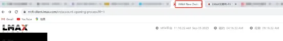 关于LMAX的6点反驳，做出如下回应！
