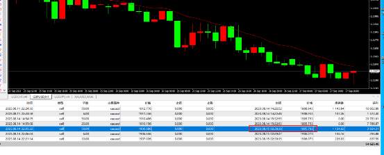 feed-image-3