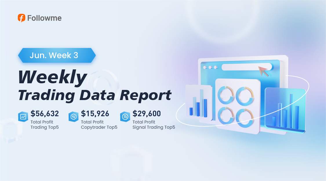 Weekly Data Report | Spotlight on Top Performers and Their Profits