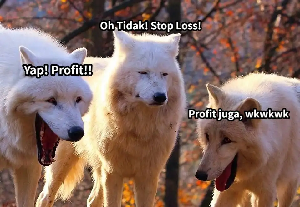 Rutinitas Harian Trader| Komentar MEMES akan Dapatkan 20 FCOIN!