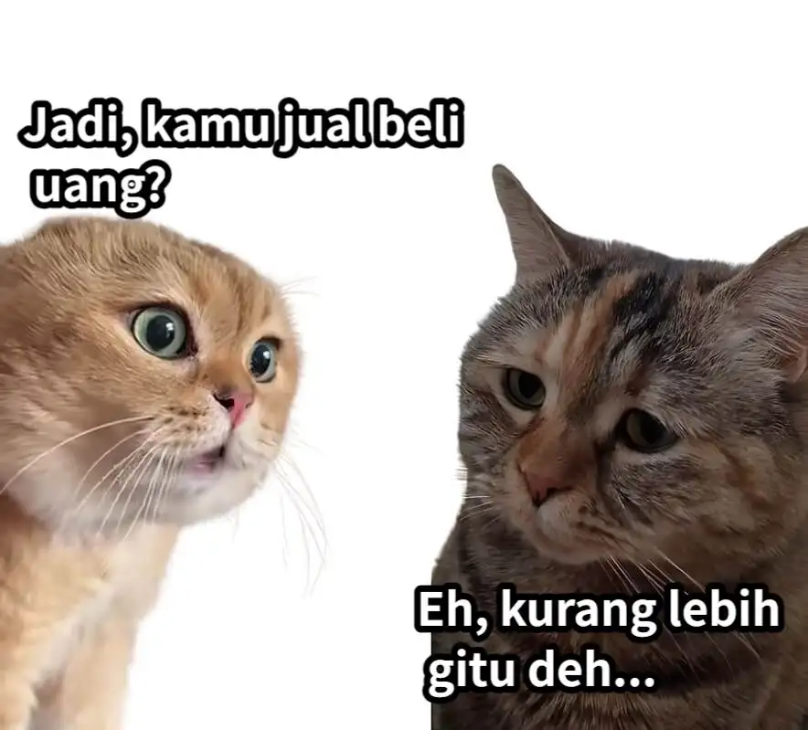 Rutinitas Harian Trader| Komentar MEMES akan Dapatkan 20 FCOIN!