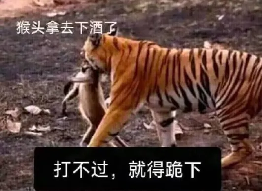 七种致命的交易错误和应对方法