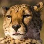 12月社区全景：谁拿到历史行情的“VIP门票”？