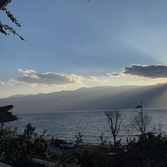 疯狂3月，黄金暴跌后反弹，有交易员借此盈利百万美元！