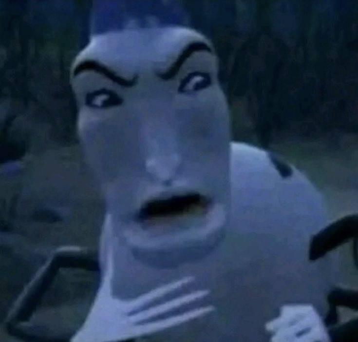 feed-image-0