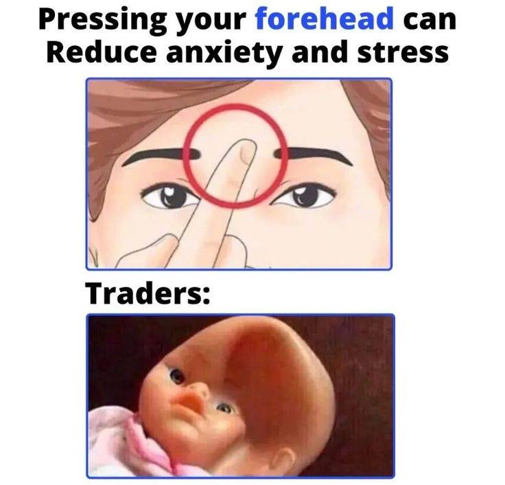 feed-image-0