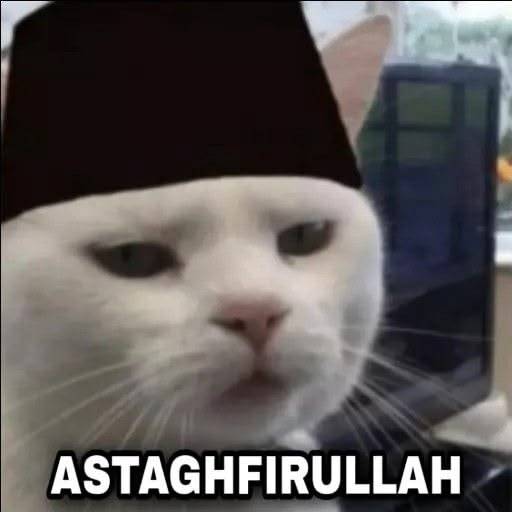 feed-image-0