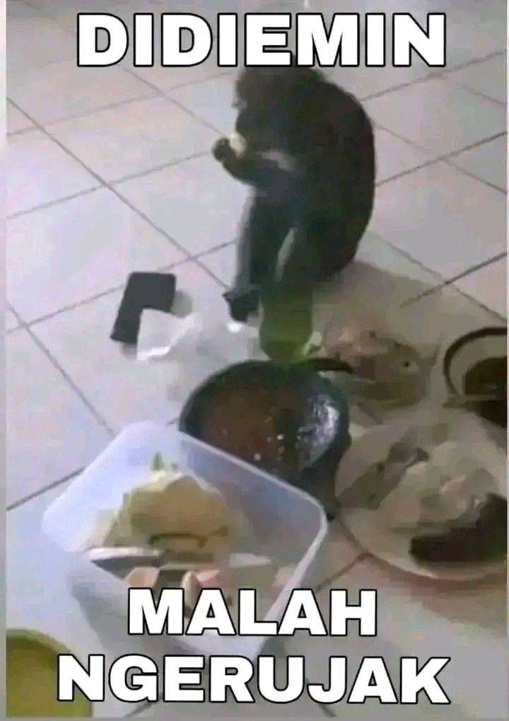 feed-image-0