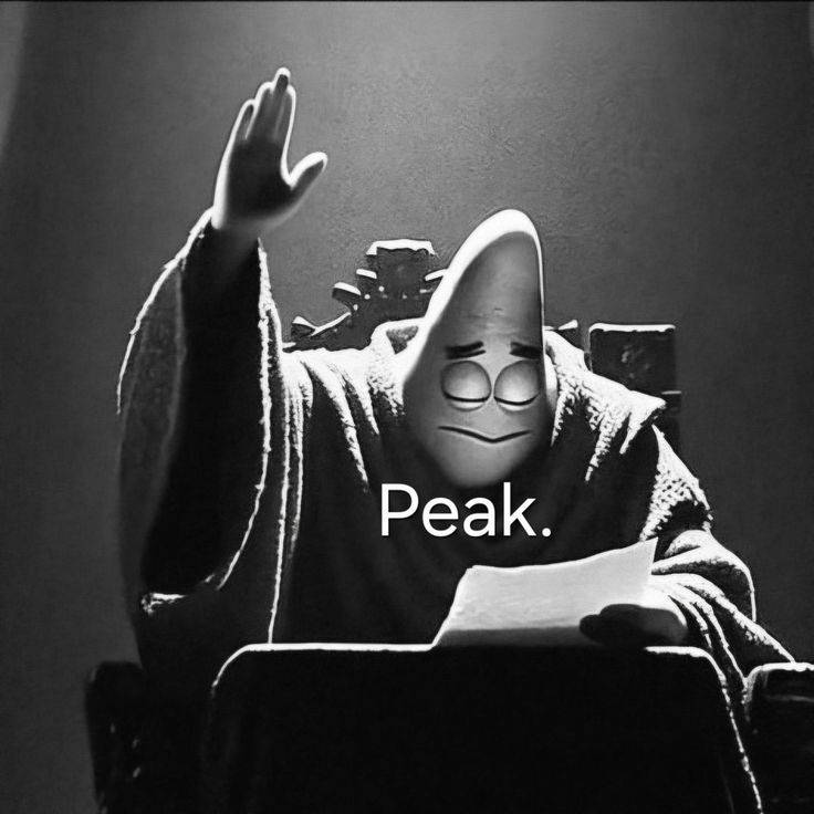 feed-image-0