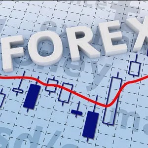 过去的8月，有人盈利了31万美元？
