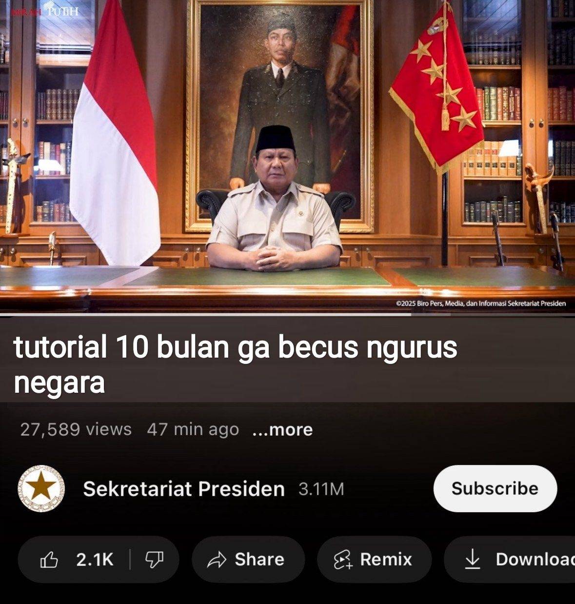 feed-image-0