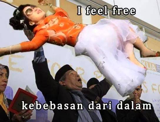feed-image-0