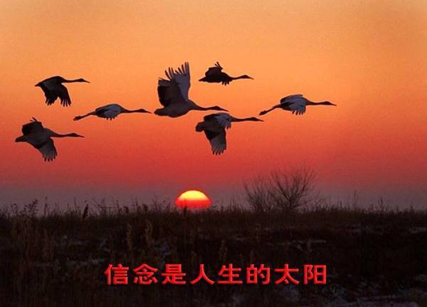 涂圣凯：防爆仓你知道吗?