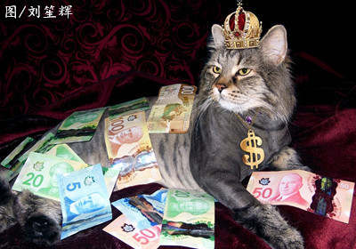 刘笙辉：8.20黄金千三高位多单被套，下周行情走势会上涨还是下跌