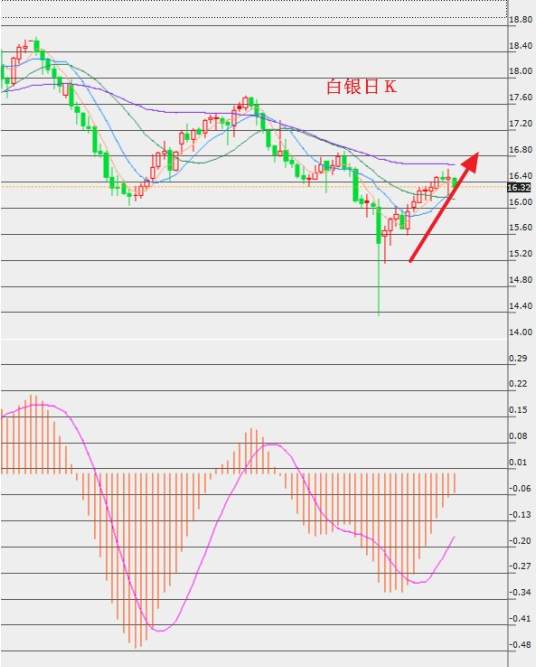 资本散帮：聚焦全球金融观点