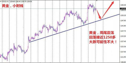 陈珺乔：7.28美联储不加息，黄金一路狂飙，黄金空单解套！