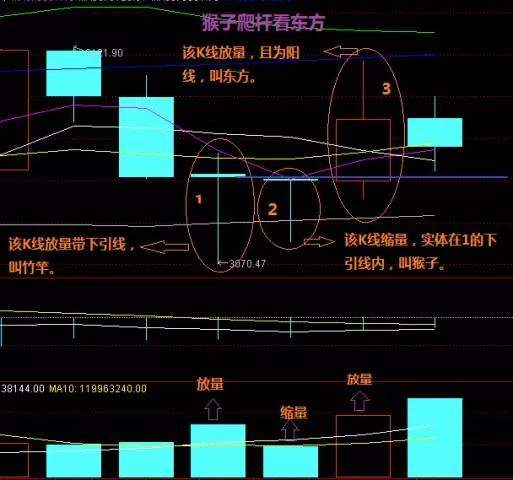 资本散帮：新股民，仅一招就能轻松盈利！