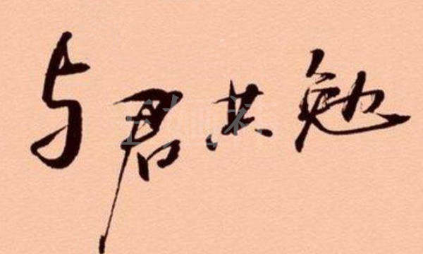 王婳祎：9.7黄金暴跌多头仍在，行情聚焦晚间德拉基讲话