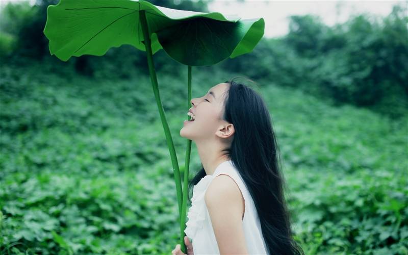 资本猎涨：捕捉黑马股必学的形态与技巧 - 李彤心