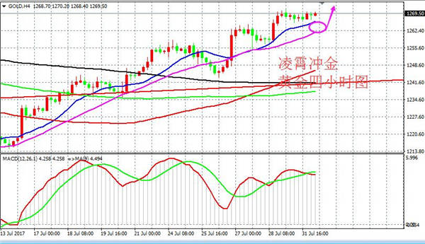 Followme黄金,小时,亚欧,回撤,原油,操盘