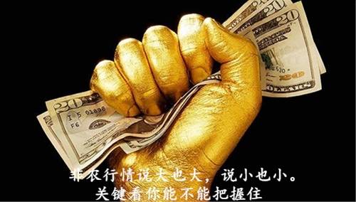 复盘 | 非农支持美联储再加息，美元受支撑；加元大涨，黄金已打开下跌空间？