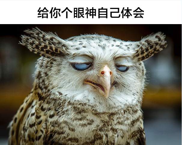 交易大赛-峰回路转的辣眼睛大戏频频上演