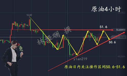 林娅斓：10.13 EIA原油多头完美反转，周五行情分析及策略布局