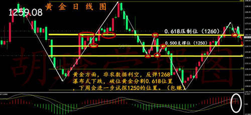 胡琇莹：黄金空头顺势而为，为何频频亏损的是你？