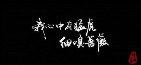 许嘉娴：投资不甘亏损？套单不能解决？看完文章我们下周再约！