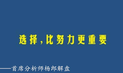 Followme杨郎,老师,盈利,亏损,行情,美金