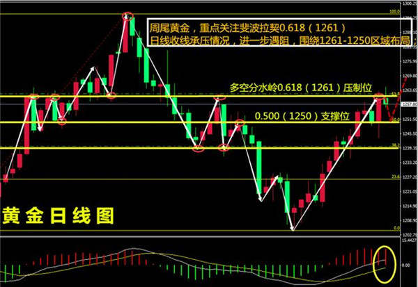 沈云伊：黄金回抽7点利润，1265之下空头搏反弹！