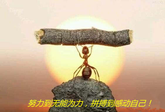 金椽栐：道路无捷径，心态亦为王