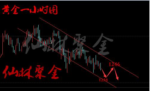 仙林聚金：7.3早评黄金、原油今日走势分析及操作建议（附独家非农布局策略）