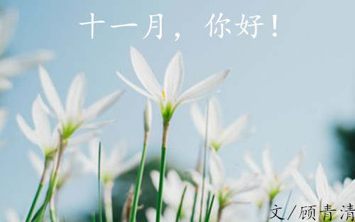 顾青清：11.1黄金1277获利后市做多！小非农上涨扩大下行空间？