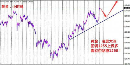 陈珺乔：7.27黄金暴涨近20点，黄金空单如何解套？