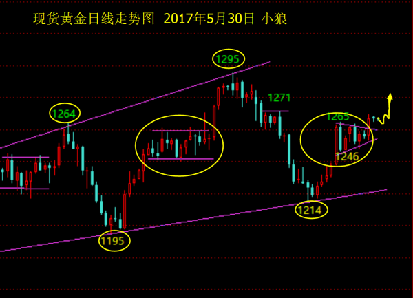 小狼：黄金1263上都可多，目标先看1273