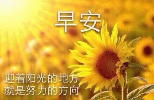 11.13早评黄金区间修正，原油高位盘整